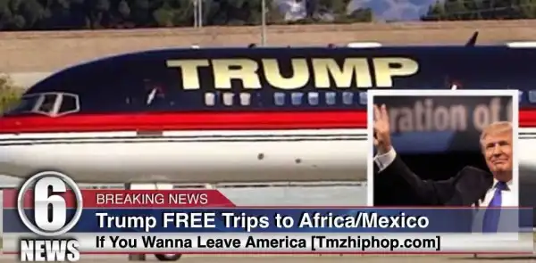 See Photos: Proceedures and Planes Donald Trump is Using to send Africans back